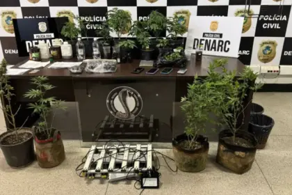 Polícia fecha laboratório de maconha usado na produção de óleo e shampoo