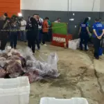 Polícia fecha matadouro clandestino de cavalos e apreende 700kg de carne imprópria para consumo Polícia fecha matadouro clandestino de cavalos e apreende 700kg de carne imprópria para consumo
