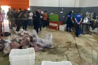 Polícia fecha matadouro clandestino de cavalos e apreende 700kg de carne imprópria para consumo Polícia fecha matadouro clandestino de cavalos e apreende 700kg de carne imprópria para consumo