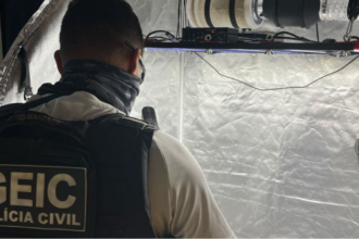 Polícia Civil apreende estufa de maconha em Anápolis Polícia Civil apreende estufa de maconha em Anápolis