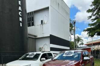 Operação Linha Cruzada apreende caminhonetes e prende suspeitos de operar golpes e lavar dinheiro do crime – Policia Civil do Estado de Goiás Operação Linha Cruzada apreende caminhonetes e prende suspeitos de operar golpes e lavar dinheiro do crime – Policia Civil do Estado de Goiás