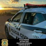 Mulher é presa após praticar diverso furtos qualificados em Brasília e no Entorno