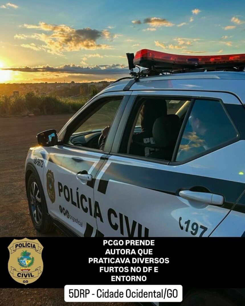 Mulher é presa após praticar diverso furtos qualificados em Brasília e no Entorno