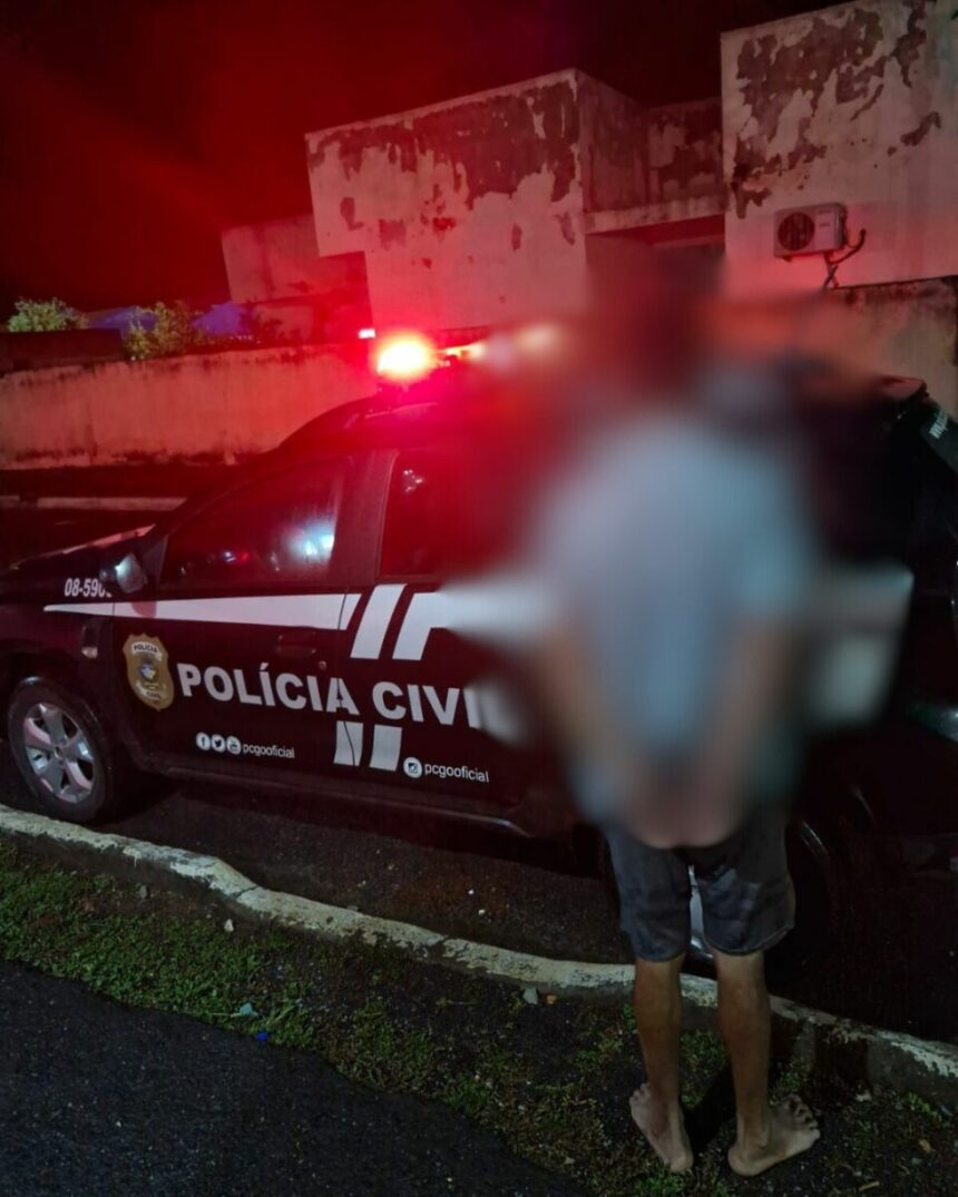 Homem é preso em flagrante por crimes de violência doméstica em Alvorada do Norte – Policia Civil do Estado de Goiás Homem é preso em flagrante por crimes de violência doméstica em Alvorada do Norte – Policia Civil do Estado de Goiás