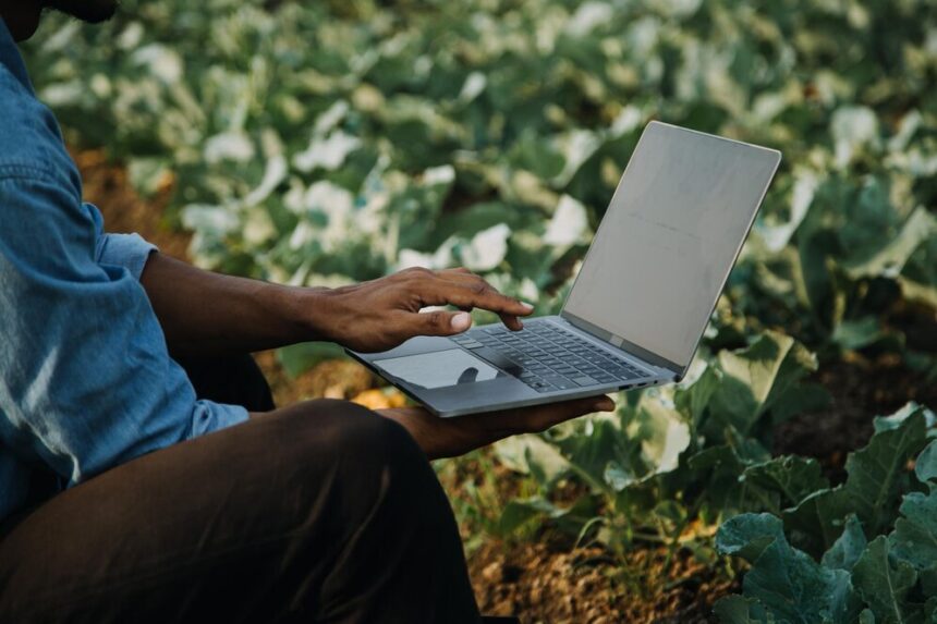 Ministério das Comunicações amplia em 174% as doações de computadores a comunidades indígenas Ministério das Comunicações amplia em 174% as doações de computadores a comunidades indígenas