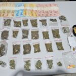 PCGO apreende drogas sintéticas e alucinógenos em Cavalcante – Policia Civil do Estado de Goiás PCGO apreende drogas sintéticas e alucinógenos em Cavalcante – Policia Civil do Estado de Goiás
