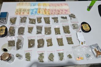 PCGO apreende drogas sintéticas e alucinógenos em Cavalcante – Policia Civil do Estado de Goiás PCGO apreende drogas sintéticas e alucinógenos em Cavalcante – Policia Civil do Estado de Goiás