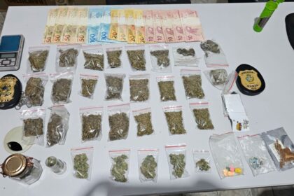 PCGO apreende drogas sintéticas e alucinógenos em Cavalcante – Policia Civil do Estado de Goiás