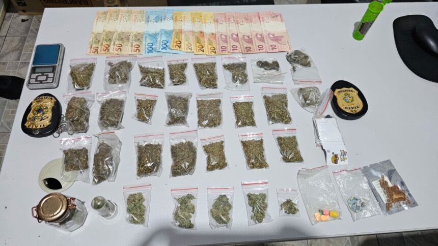 PCGO apreende drogas sintéticas e alucinógenos em Cavalcante – Policia Civil do Estado de Goiás