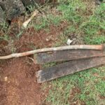 PCGO prende homem que tentou matar produtor rural a pauladas