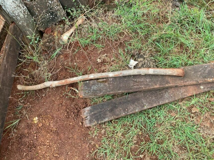 PCGO prende homem que tentou matar produtor rural a pauladas PCGO prende homem que tentou matar produtor rural a pauladas