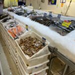 Preços de pescados podem ter variação de até 268% Preços de pescados podem ter variação de até 268%