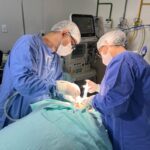 HGG oferece atendimento odontológico gratuito a pacientes hospitalizados HGG oferece atendimento odontológico gratuito a pacientes hospitalizados