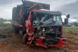 Homem morre atropelado por caminhão na BR-060