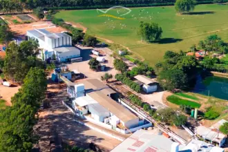 Peixe Bom Pescados bate recorde histórico na Quaresma com mais de 1.900 toneladas movimentadas Peixe Bom Pescados bate recorde histórico na Quaresma com mais de 1.900 toneladas movimentadas