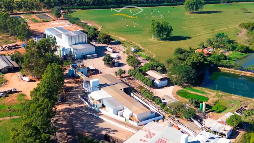 Peixe Bom Pescados bate recorde histórico na Quaresma com mais de 1.900 toneladas movimentadas Peixe Bom Pescados bate recorde histórico na Quaresma com mais de 1.900 toneladas movimentadas