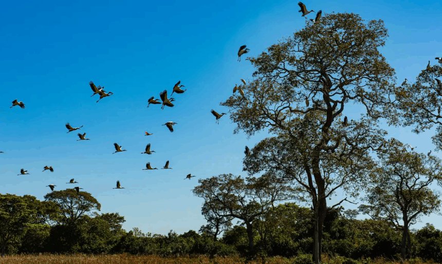 Áreas com inundações frequentes podem ser isentas de Imposto Territorial Rural Áreas com inundações frequentes podem ser isentas de Imposto Territorial Rural