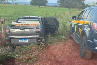 Traficante com extensa ficha criminal é preso com 800 kg de maconha após fuga na BR-153 Traficante com extensa ficha criminal é preso com 800 kg de maconha após fuga na BR-153
