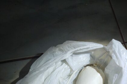 PCGO prende em Formosa egresso do sistema prisional que armazenava material explosivo – Policia Civil do Estado de Goiás