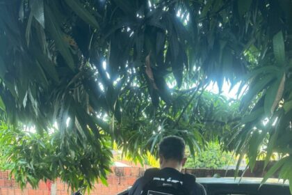 Operação Insolentia cumpre prisões e buscas contra investigados por homicídios tentado e consumado ocorridos em Planaltina