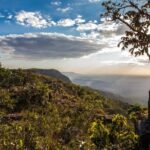 Desmatamento em Goiás tem queda de 71,9%