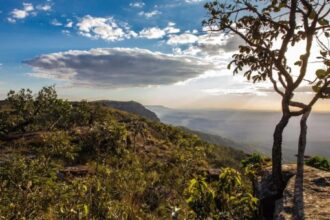 Desmatamento em Goiás tem queda de 71,9%