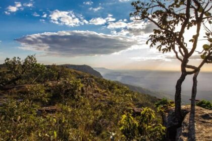 Desmatamento em Goiás tem queda de 71,9%