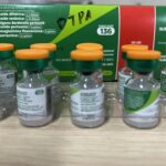 COQUELUCHE: Região Sul já registra 567 casos da doença em 2025