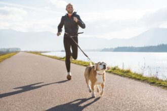 7 atividades físicas para praticar com o cachorro 