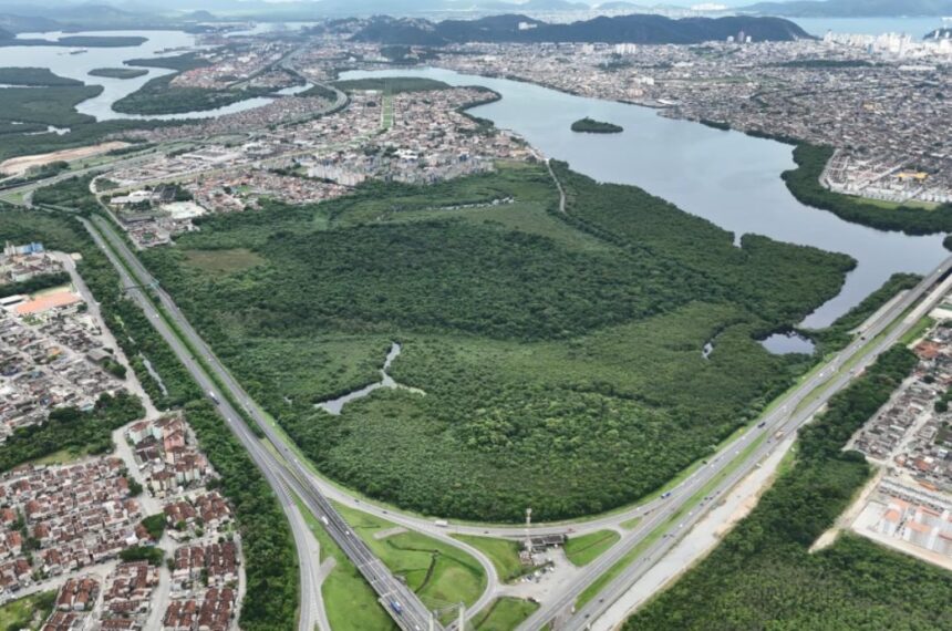 Cidades Verdes do Mundo: 34 municípios brasileiros fazem parte de seleta lista da ONU Cidades Verdes do Mundo: 34 municípios brasileiros fazem parte de seleta lista da ONU