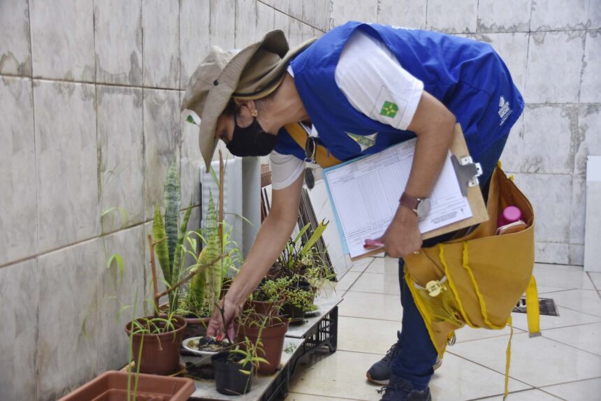 Dengue: casos prováveis ultrapassam 439 mil em 2025
