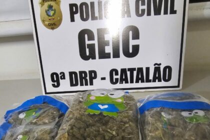 PCGO apreende super maconha e prende homem em flagrante em Catalão – Policia Civil do Estado de Goiás