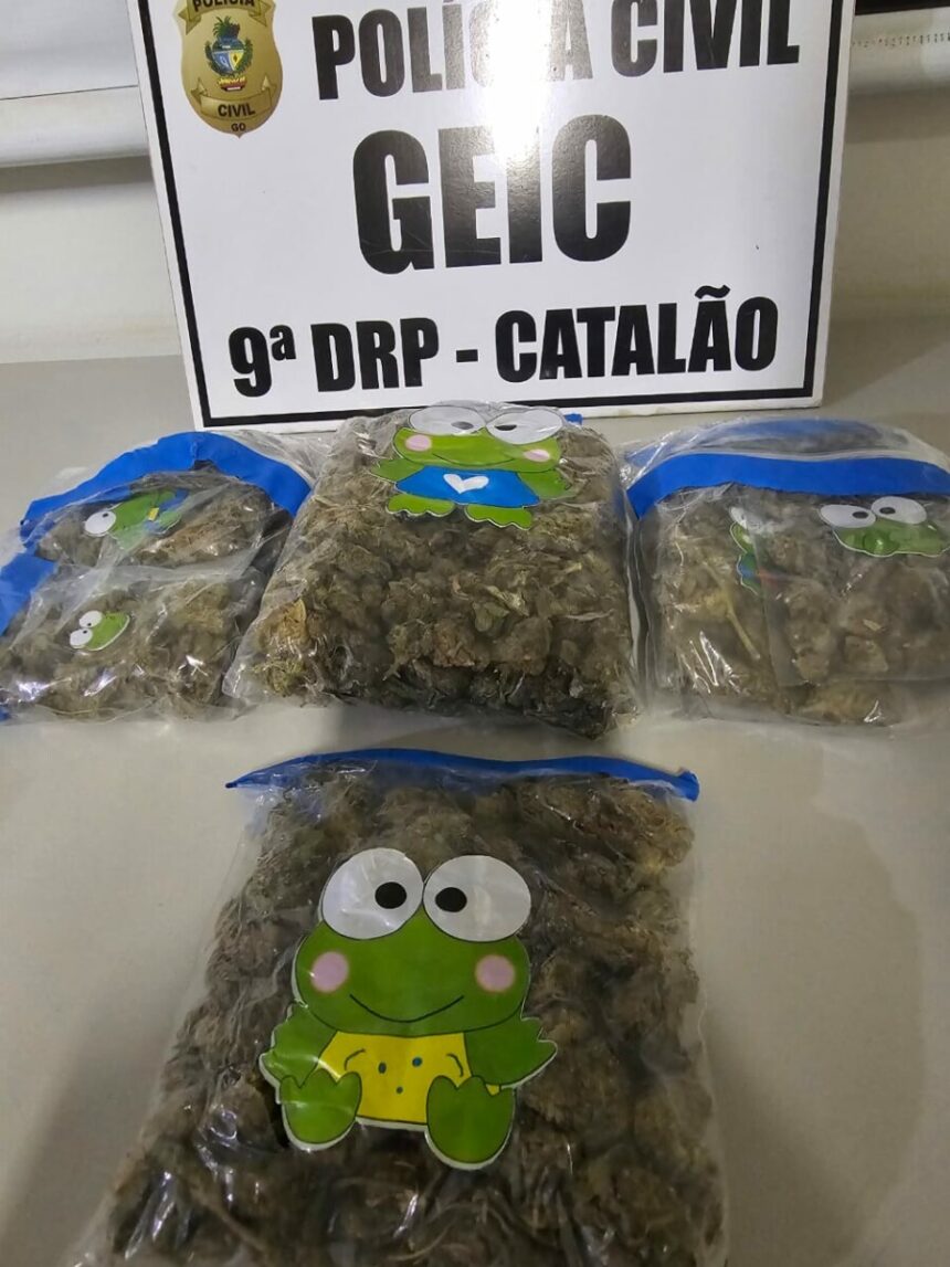PCGO apreende super maconha e prende homem em flagrante em Catalão – Policia Civil do Estado de Goiás PCGO apreende super maconha e prende homem em flagrante em Catalão – Policia Civil do Estado de Goiás