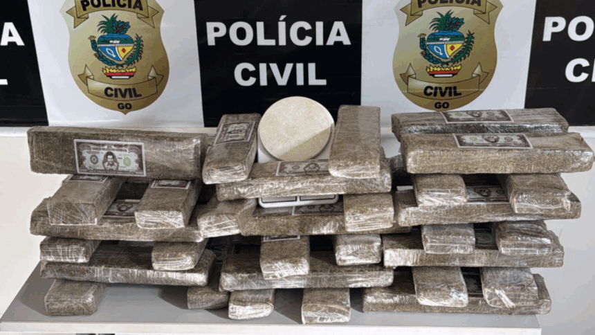 PCGO apreende quase 40 kg de maconha e prende suspeito de tráfico de drogas em Catalão – Policia Civil do Estado de Goiás PCGO apreende quase 40 kg de maconha e prende suspeito de tráfico de drogas em Catalão – Policia Civil do Estado de Goiás