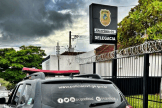 PCGO em apoio a PCMT prende investigado por furto de 100 toneladas de milho no MT – Policia Civil do Estado de Goiás