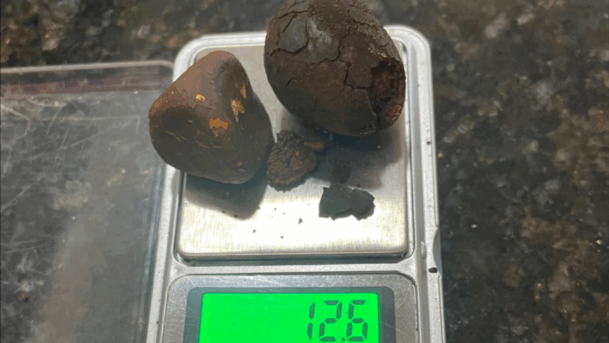 PCGO prende dupla em flagrante em Cachoeira Alta por furtar pedras biliares de frigorífico – Policia Civil do Estado de Goiás