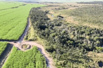 PCGO vistoria áreas de preservação permanente em regeneração em Chapadão do Céu PCGO vistoria áreas de preservação permanente em regeneração em Chapadão do Céu