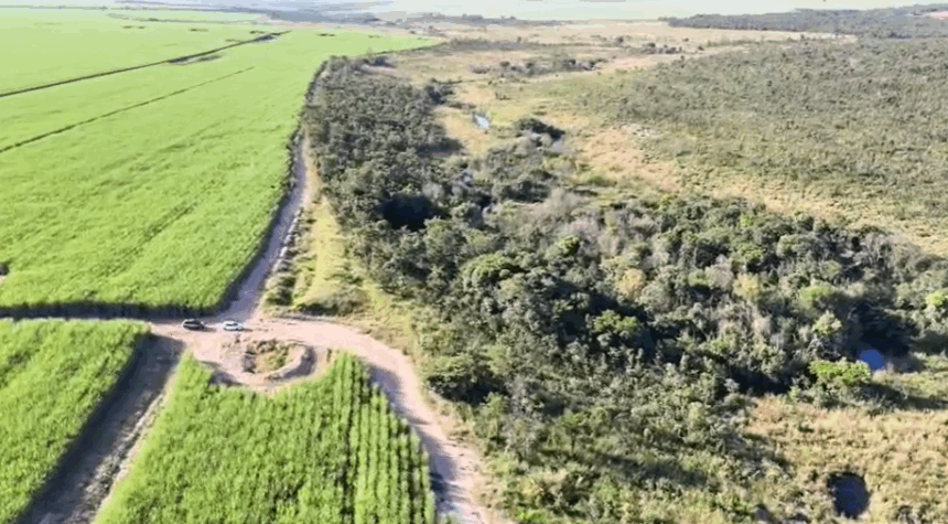 PCGO vistoria áreas de preservação permanente em regeneração em Chapadão do Céu PCGO vistoria áreas de preservação permanente em regeneração em Chapadão do Céu