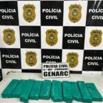Polícia Civil prende em flagrante, na rodoviária de Itumbiara, suspeito de tráfico interestadual de drogas – Policia Civil do Estado de Goiás