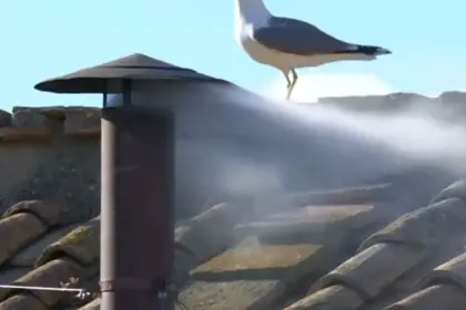 Fumaça branca é vista do teto da capela sistina, o que indica que papa foi escolhido