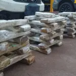 Homem é detido com 60 kg de maconha escondidos em fundo falso de carro na BR-364