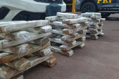 Homem é detido com 60 kg de maconha escondidos em fundo falso de carro na BR-364