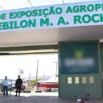 “Pecuária para Todos”: Câmara de Goianésia aprova programa social que garante acesso à festa da Pecuária