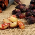 9 receitas de festa junina para fazer na air fryer