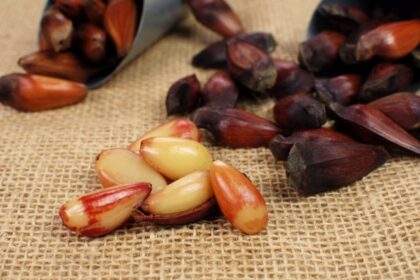 9 receitas de festa junina para fazer na air fryer