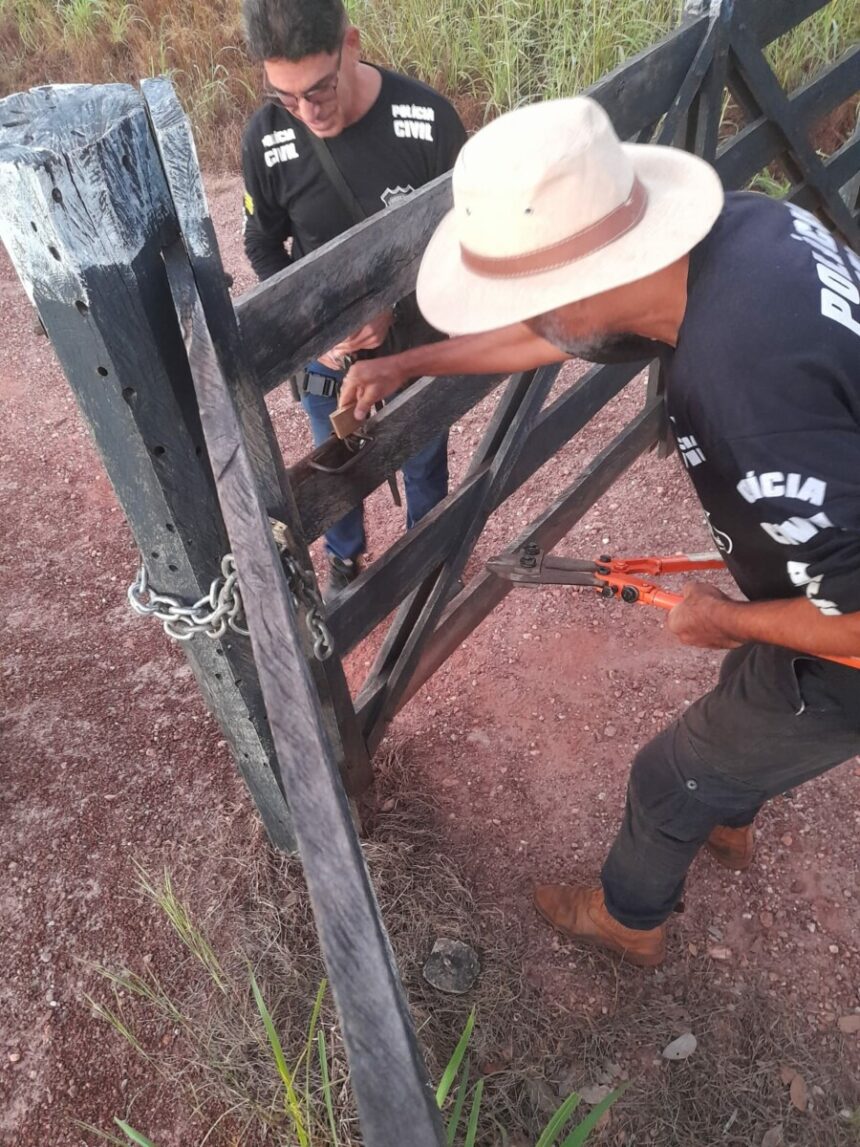 PCGO apreende carabina e munições com suspeito de ameaçar a ex-mulher em Monte Alegre de Goiás PCGO apreende carabina e munições com suspeito de ameaçar a ex-mulher em Monte Alegre de Goiás