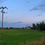 Vila Propício e regiões rurais terão interrupção no fornecimento de energia elétrica nesta terça Vila Propício e regiões rurais terão interrupção no fornecimento de energia elétrica nesta terça