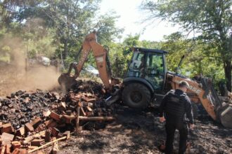 PCGO desativa fornalhas usadas para produção ilegal de carvão – Policia Civil do Estado de Goiás