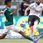 Botafogo e Palmeiras abrem oitavas de final do Mundial de Clubes Botafogo e Palmeiras abrem oitavas de final do Mundial de Clubes