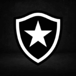 Veja a trajetória do Botafogo no Campeonato Brasileiro